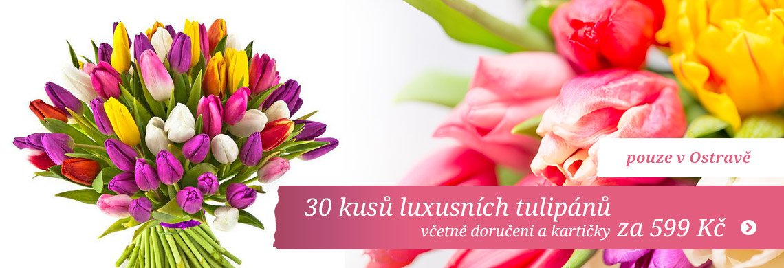 AKCE - 30 kusů luxusních tulipánů 599,-