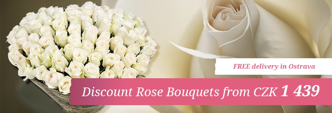 Roses | NIKA Ostrava