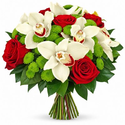 Orchids