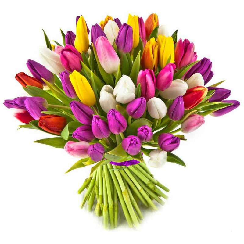 30 kusů barevných tulipánů